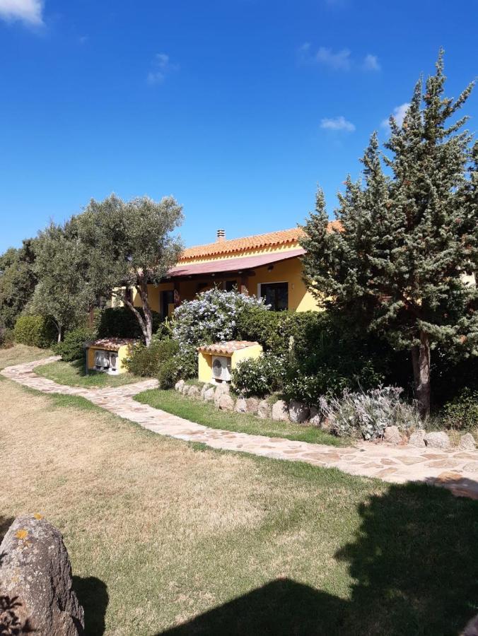 Agriturismo Campesi Casale Tra Le Vigne Aglientu Exterior foto